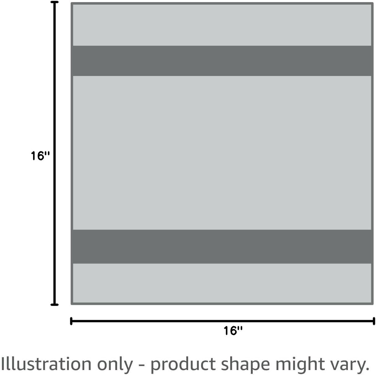 Autofiber Korean Plush Premium Edgeless Microfiber Detailing Towels - Pack of 10, Gray (16 inch x 16 inch)