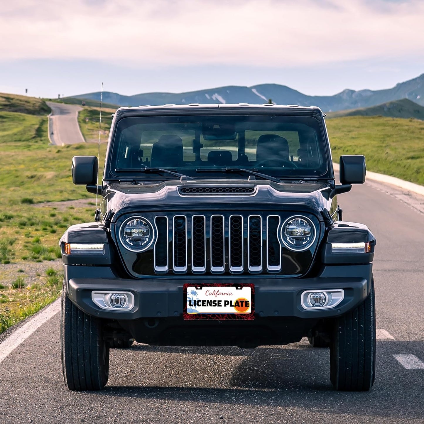 Red Spider Web License Plate Frame Funny Cobweb Stainless Steel License Plate Holder for Front or Rear Car Tags for Car Decoration Accessories with Screws 6.3 X 12.2 in for Women Men