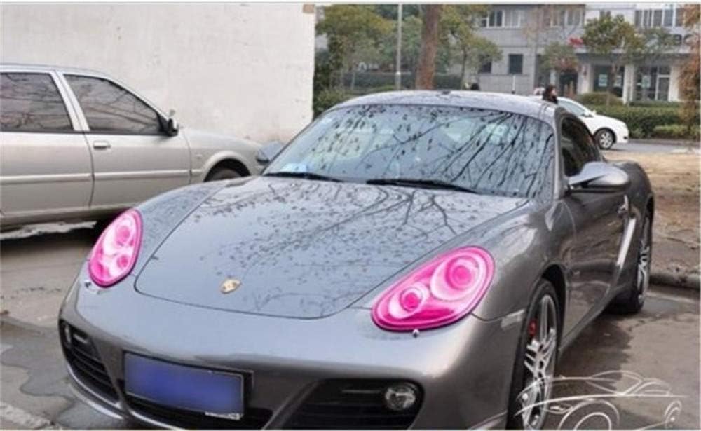 12 by 48 Inches Self Adhesive Headlight, Tail Lights, Fog Lights Tint Vinyl Film with Tools (Pink)