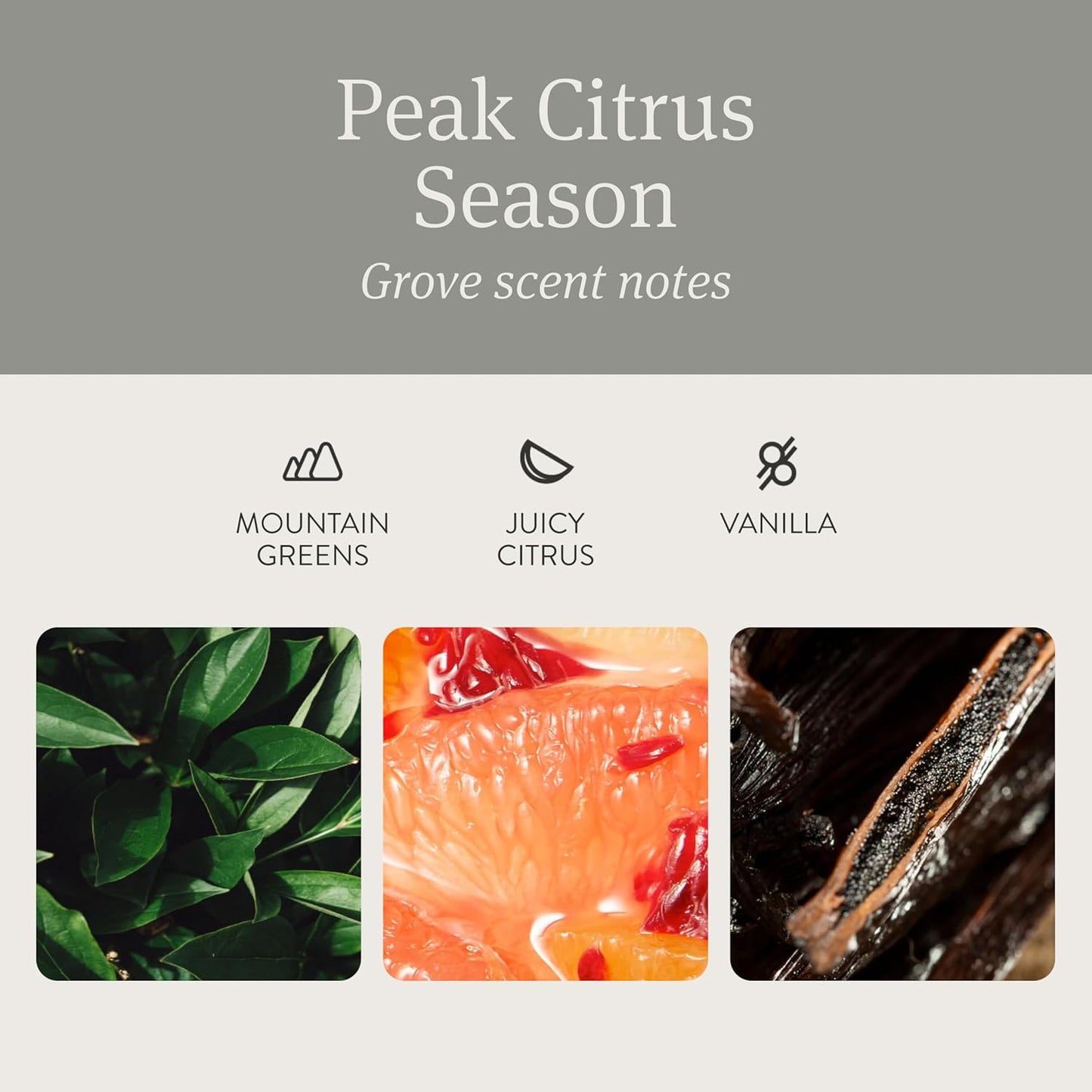 Drift Car Air Freshener - Stone Air Freshener - Car Odor Eliminator - Grove Scent Refill - Pack of 3