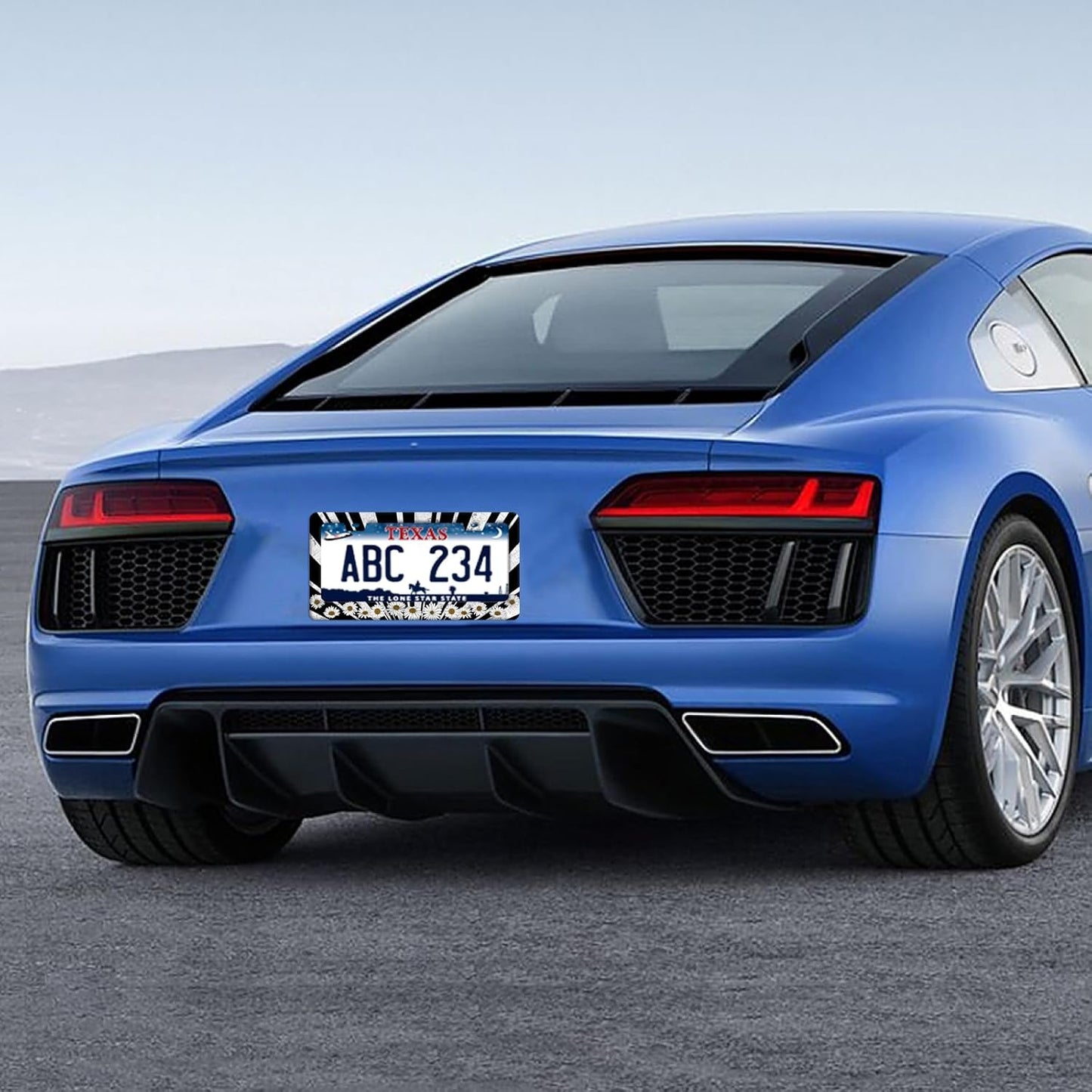 Sun License Plate Frame Black White Daisy Flowers License Plate Frames Funny Auto Accessories Bracket Stainless Steel License Plate with Screw 6x12 Inch