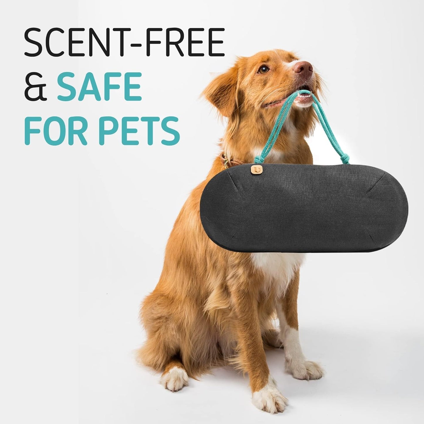 Car Air Freshener - Lasts 365+ Days - No Chemicals - 100% Activated Bamboo Charcoal - No Fragrance Deodorizer, Auto Odor Eliminator - Absorb Smoke Smell [2Pk]