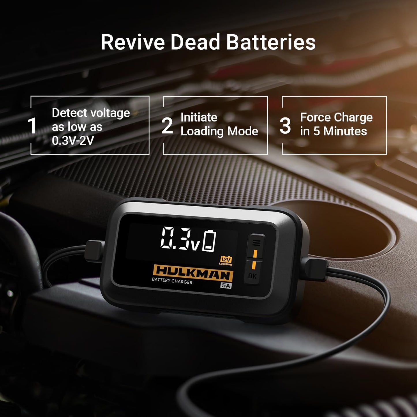 Hulkman Sigma 5, 5A Car Battery Trickle Charger, 12V and 6V Smart Charger, LiFePO4 and Lead-Acid Battery Automotive Maintainer with 3.2-in LED Display for Automobile, Motorcycle, ATV