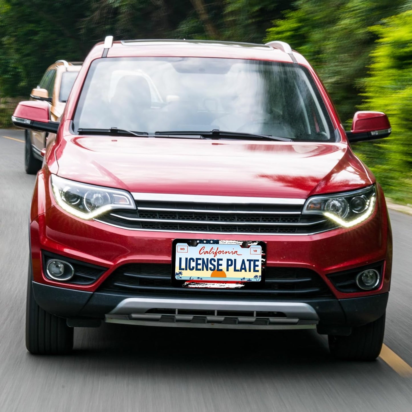 American Flag License Plate Frames - 2 Pack Vintage US Flag Stainless Steel License Plate Holder,Rust-Proof Waterproof Car Decorative Tag Frame with Screws Fasteners Caps