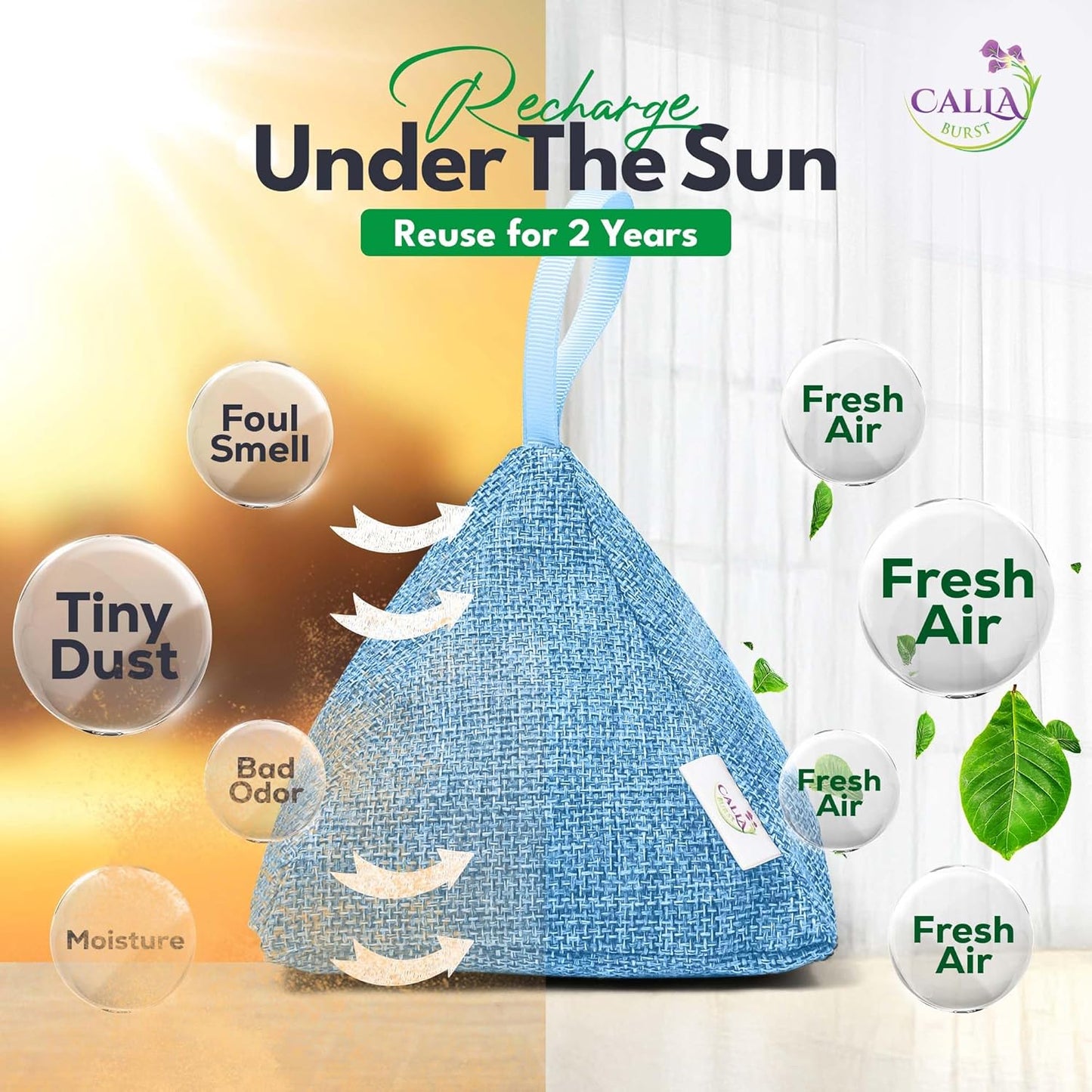 4 Pack Bamboo Charcoal Air Purifier Bags 200 Grams Each - Odor Absorber & Eliminator for Home, Car, Pets, Activated Charcoal Natural Freshener, Eco-Friendly & Reusable (Fresh Colors)