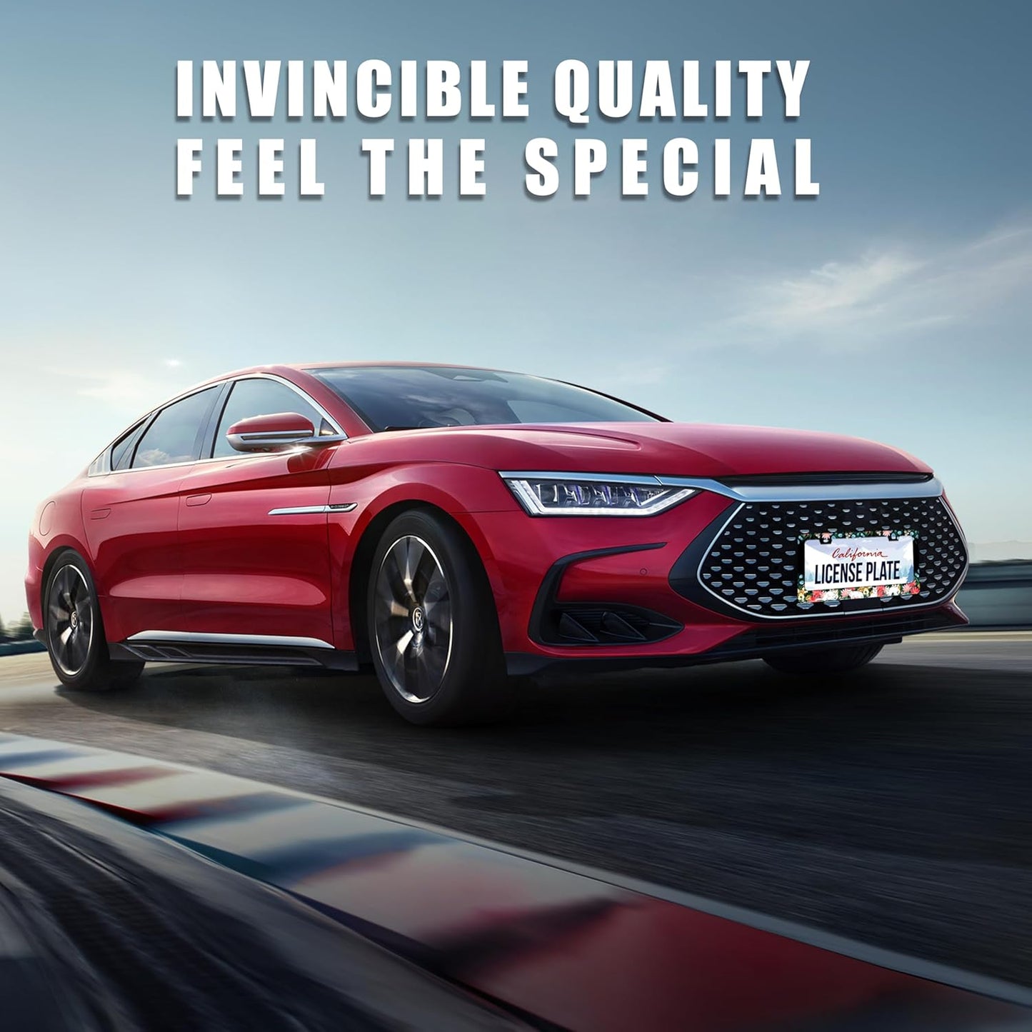 Personalized License Plate Frame Cat Flowers Stainless Steel Accessory Pet License Plate Holder Funny Car Decorative 2 Holes Screws Fits Us Standard License Plates 12.2 X 6.3 in for Men Women