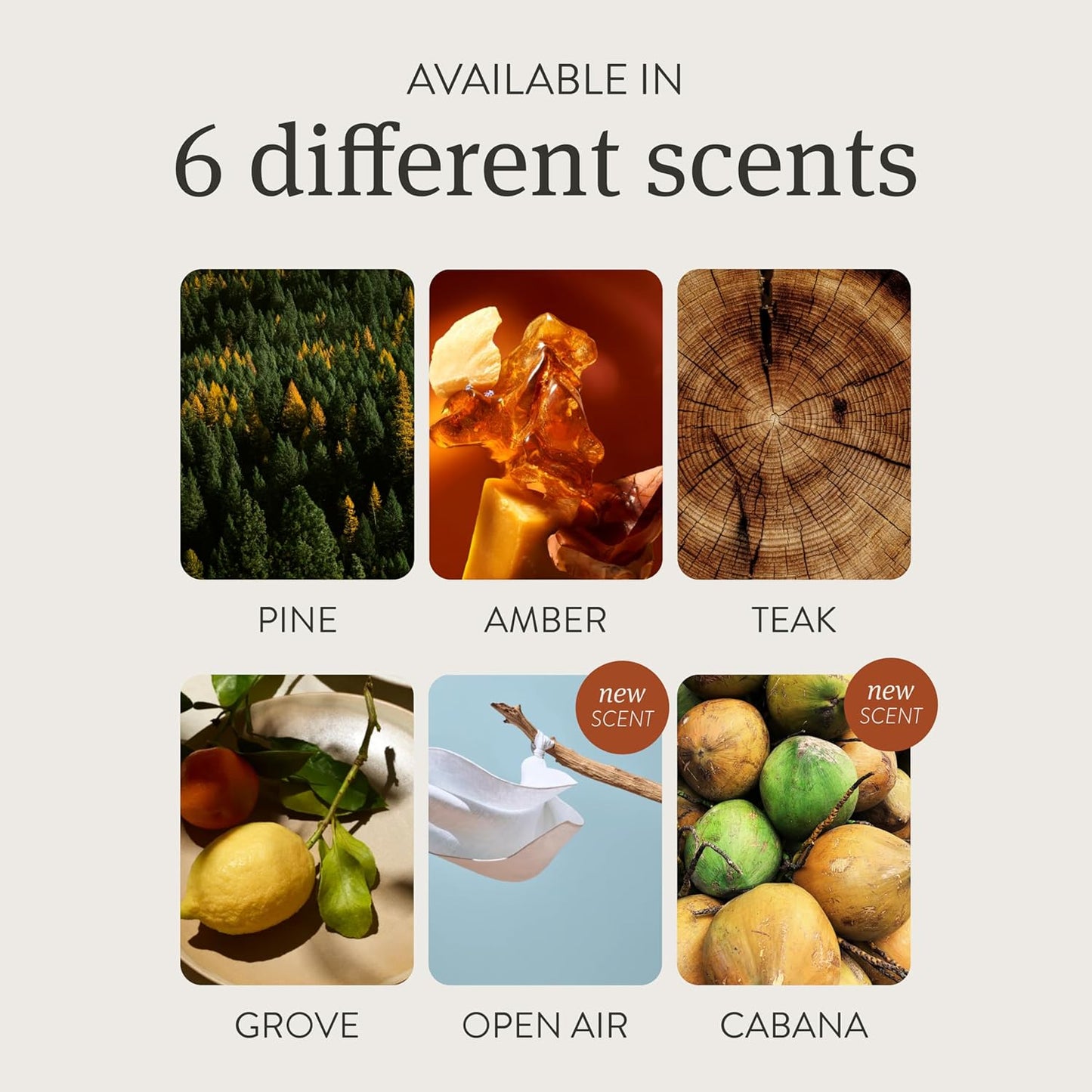 Drift Car Air Freshener - Stone Air Freshener - Car Odor Eliminator - Pine Scent Refill - NO CLIP INCLUDED