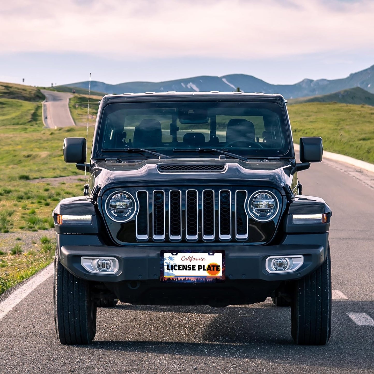 Starry Sky Galaxy License Plate Frame Beautiful Night Forest Funny License Plate Holder for Front or Rear Car Tags Durable Stainless Steel Car Decoration with Screws 6.3 X 12.2 in for Men Women