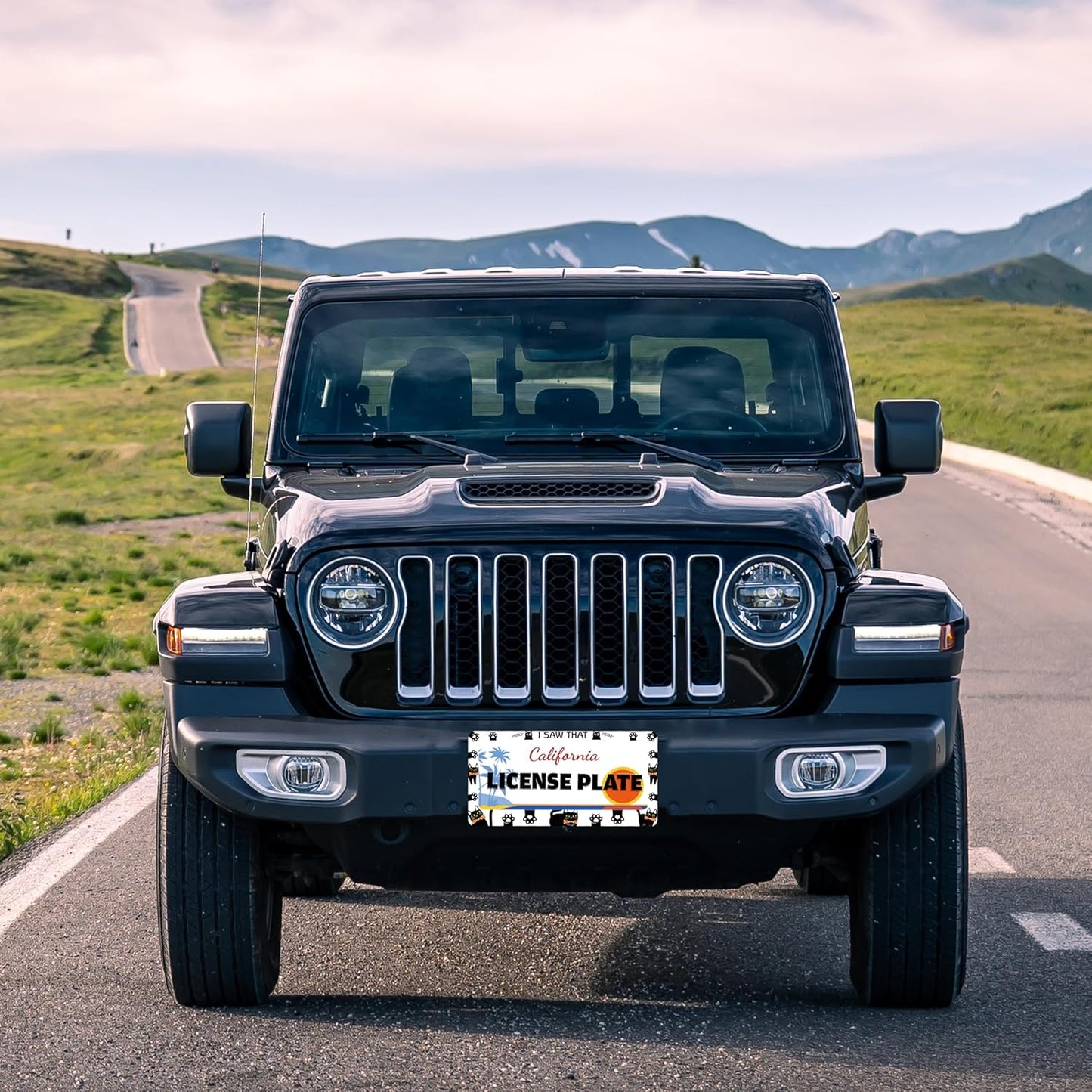 Cat License Plate Frame I Saw That Cat License Plate Holder Paw Animal for Front or Rear Car Tags Stainless Steel Funny Car Decoration with Screws 6.3 X 12.2 in